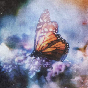 李小冉一晚被躁高潮91
